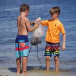 article image - 